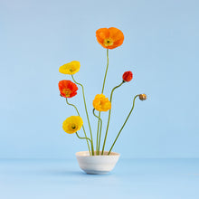 Load image into Gallery viewer, Yeram Ceramics x KENSAL Floral Kit
