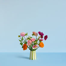 Load image into Gallery viewer, Stripes | 5 colours