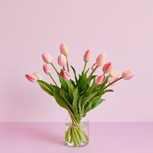 Load image into Gallery viewer, In Season | Tulips