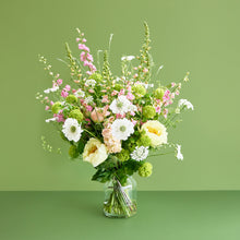 Load image into Gallery viewer, A Soft Bunch