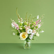 Load image into Gallery viewer, A Soft Bunch