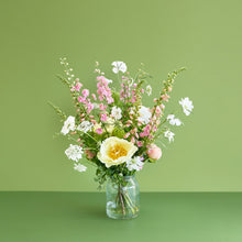 Load image into Gallery viewer, A Soft Bunch