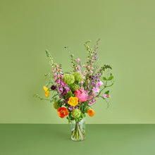 Load image into Gallery viewer, A Bright Bunch