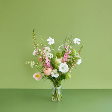 Load image into Gallery viewer, A Soft Bunch