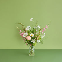 Load image into Gallery viewer, A Soft Bunch