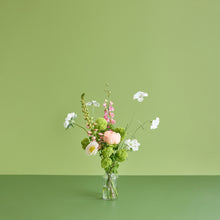 Load image into Gallery viewer, A Soft Bunch