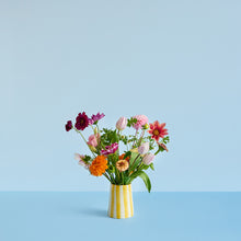 Load image into Gallery viewer, Stripes | 5 colours
