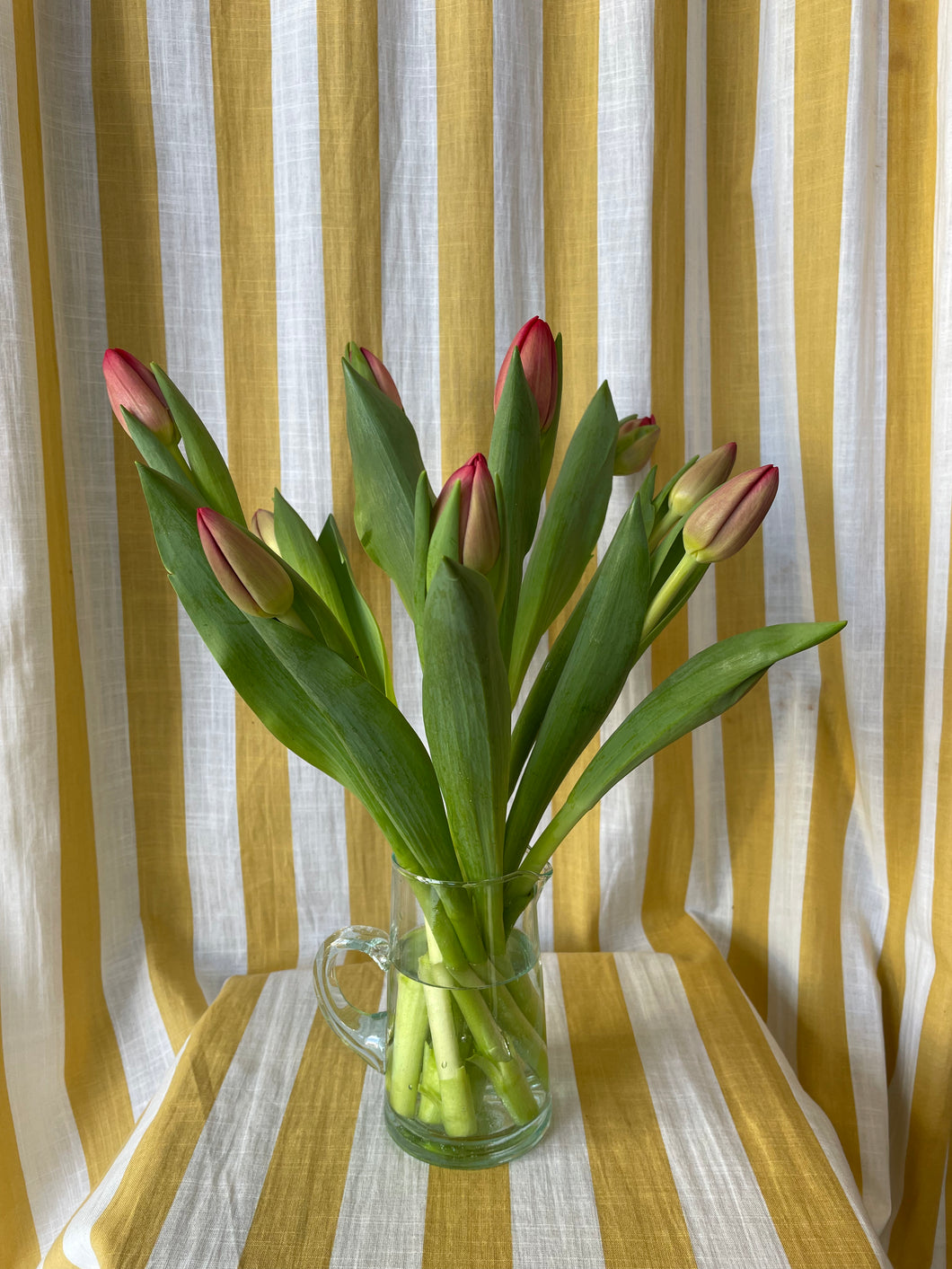 Tulips in a Recycled Glass Jug