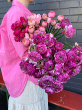 Load image into Gallery viewer, Ranunculus
