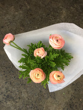 Load image into Gallery viewer, Ranunculus
