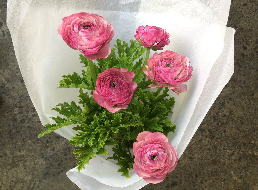 Ranunculus